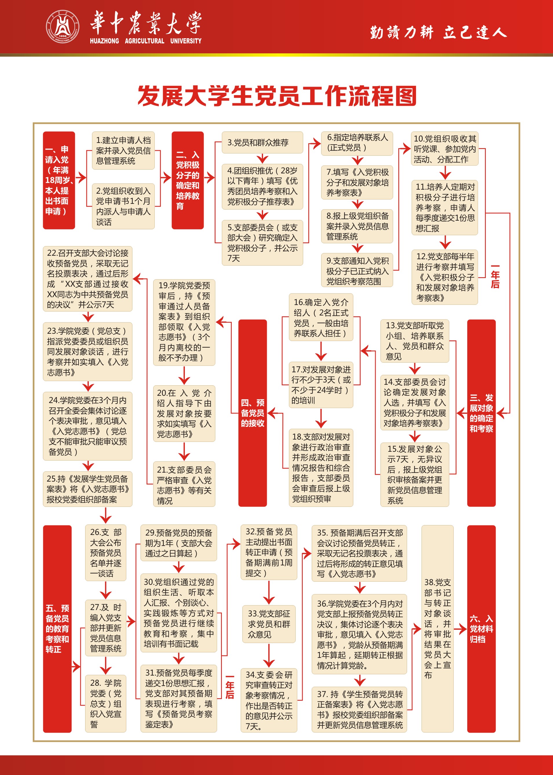 发展大学生党员工作流程