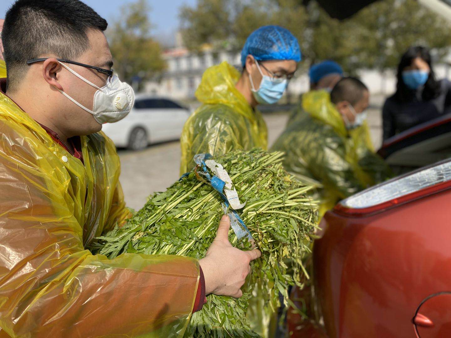 志愿者分发团购泥蒿